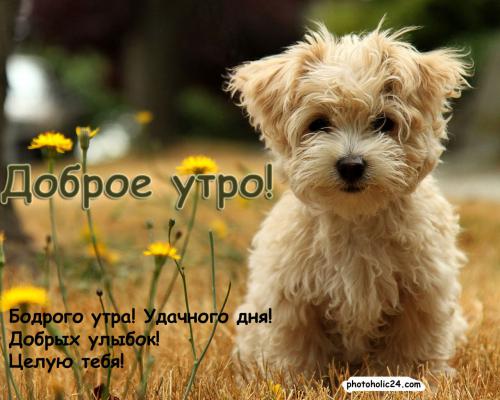 играть в интернет казино